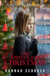 The Orphan's Amish Christmas