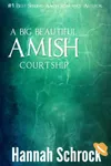 A Big Beautiful Amish Courtship