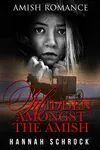 Hidden Amongst The Amish