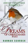 Dreams Of Christmases Past
