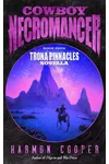 Trona Pinnacles