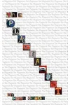 The Plagiarist