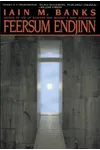 Feersum Endjinn