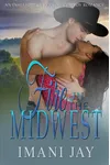 Fire In The Midwest