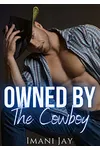 Owned by the Cowboy