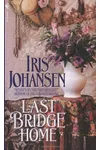 The Last Bridge Home