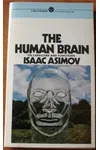 The Human Brain