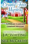 County Fair Mystery