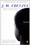 Boyhood