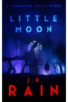 Little Moon