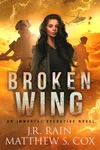 Broken Wing