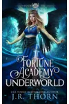 Fortune Academy Underworld: Book Six