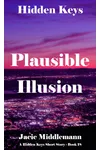 Plausible Illusion