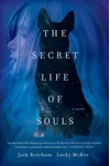 The Secret Life of Souls