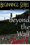 Beyond the Wall