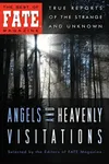 Angels and Heavenly Visitations