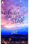 Under a Falling Star