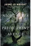 Night Falls on Predicament Avenue