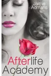 Afterlife Academy