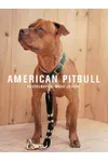 American Pitbull