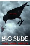 Big Slide