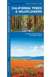 California Trees & Wildflowers