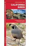 California Birds