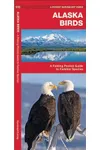 Alaska Birds