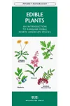 Edible Plants