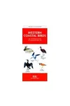 Western Coastal Birds