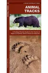 Animal Tracks