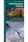 Freshwater Fishes