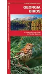 Georgia Birds