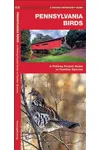 Pennsylvania Birds