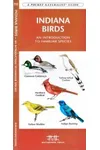 Indiana Birds