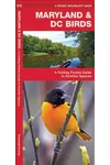 Maryland & DC Birds