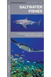 Saltwater Fishes