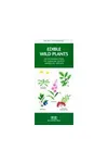 Edible Wild Plants