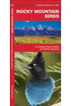 Rocky Mountain Birds