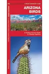 Arizona Birds
