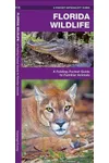 Florida Wildlife
