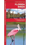 Florida Birds
