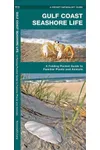 Gulf Coast Seashore Life and Animals