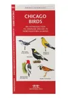 Chicago Birds in Northeastern Illinois