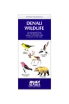 Wildlife of Denali National Park