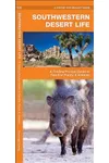 Southwest Desert Life & Animals
