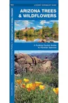 Arizona Trees & Wildflowers