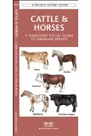 Cattle & Horses