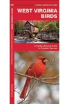 West Virginia Birds