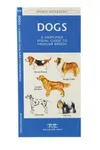 Dogs